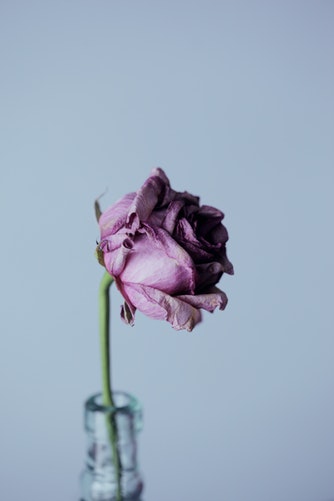 Suicide Resources Dried Flower Picture