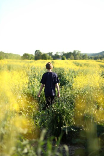 Boy walking through a field of flowers.